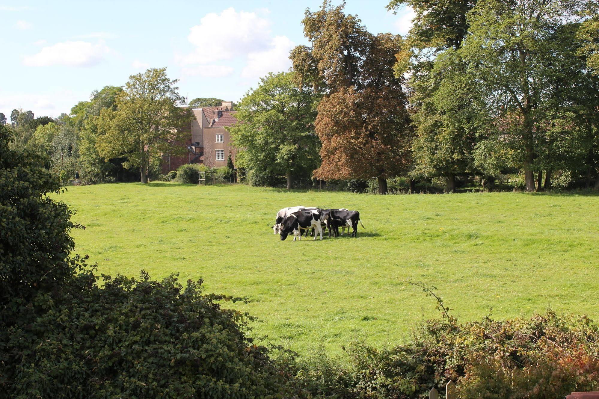 Bed and Breakfast The Coach House Winterbourne Esterno foto